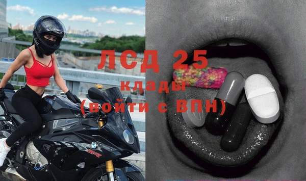 прущие грибы Алексин