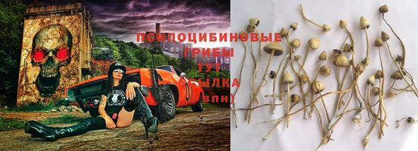 Альфа ПВП Алексеевка