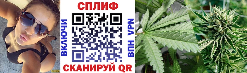 закладка  Анива  Бошки марихуана сатива 